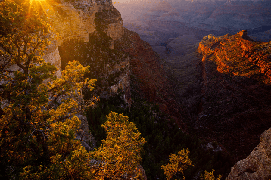 Grand Canyon