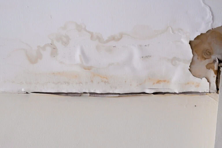 Why Do RV Roofs Always Seem to Leak?